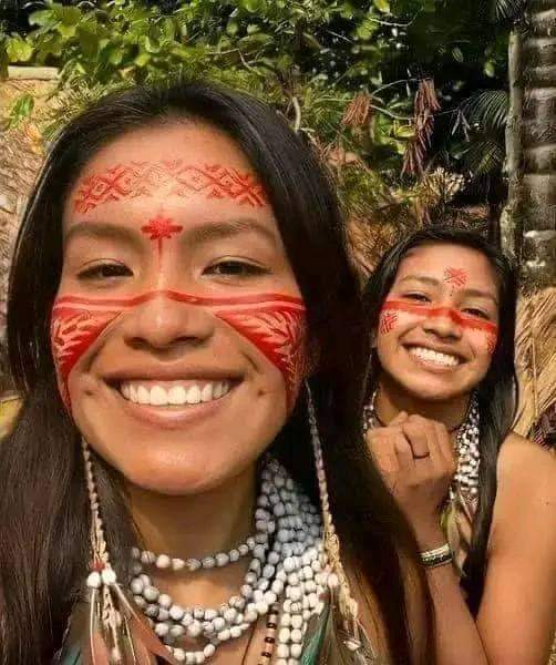 Native American tweet media