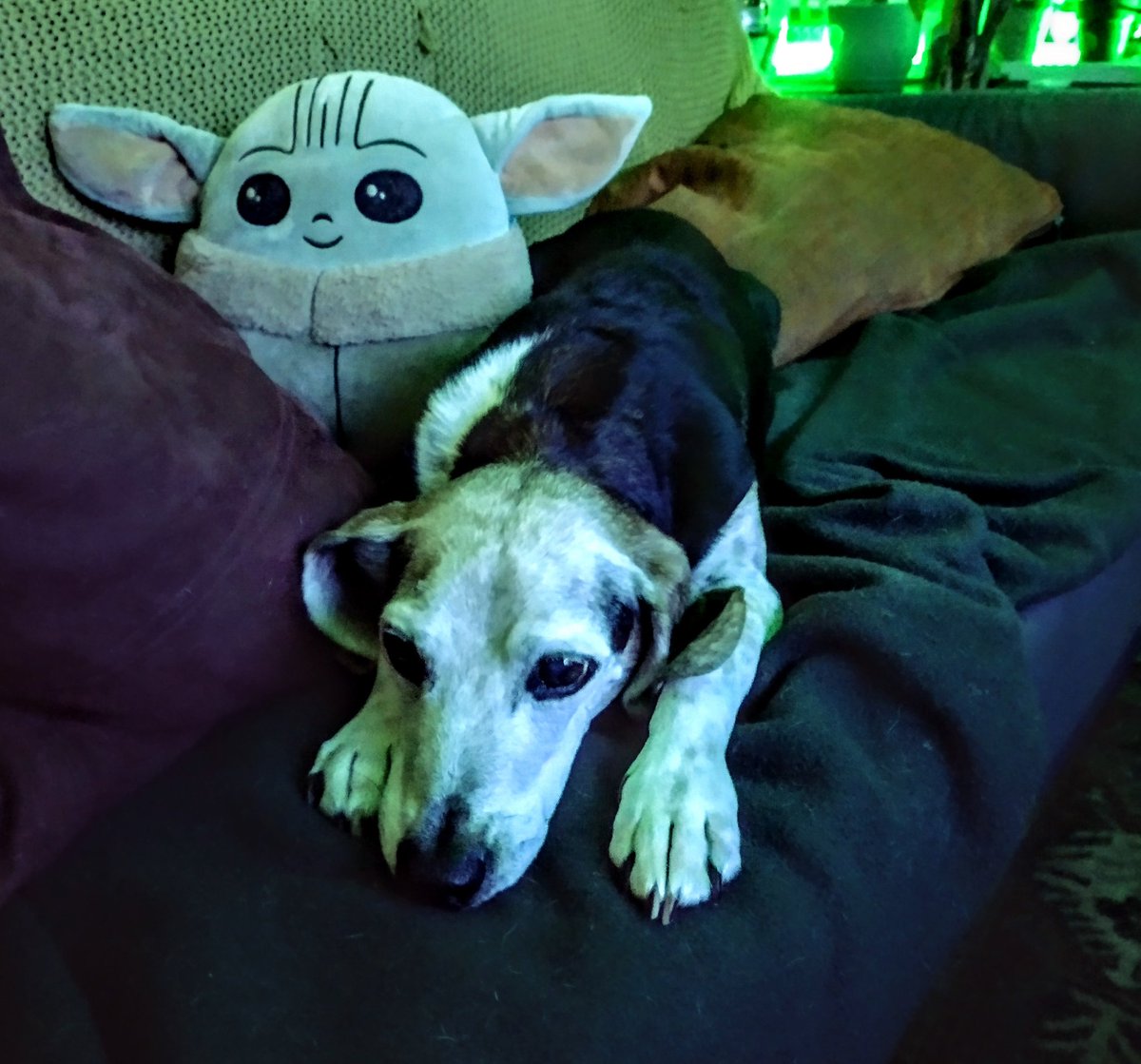 marker_bytes's tweet image. Game 1 punks! Bet on GREEN or GTFO!