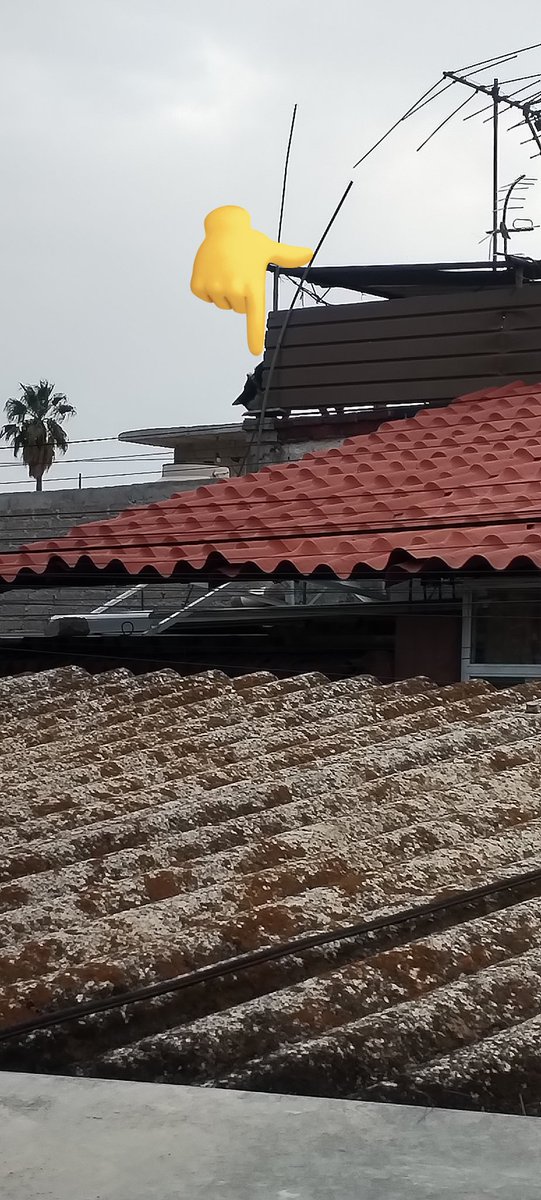 davidalvarezmun's tweet photo. @Animales_CDMX este perrito lleva casi dos años encerrado en la azotea de esta casa en santa cruz Acalpixca delegación Xochimilco la calle es carrillo puerto, pese al calor lo dejan ahí, casi no come y no sé si tiene agua, que se puede hacer? https://t.co/20V1eh2RXw