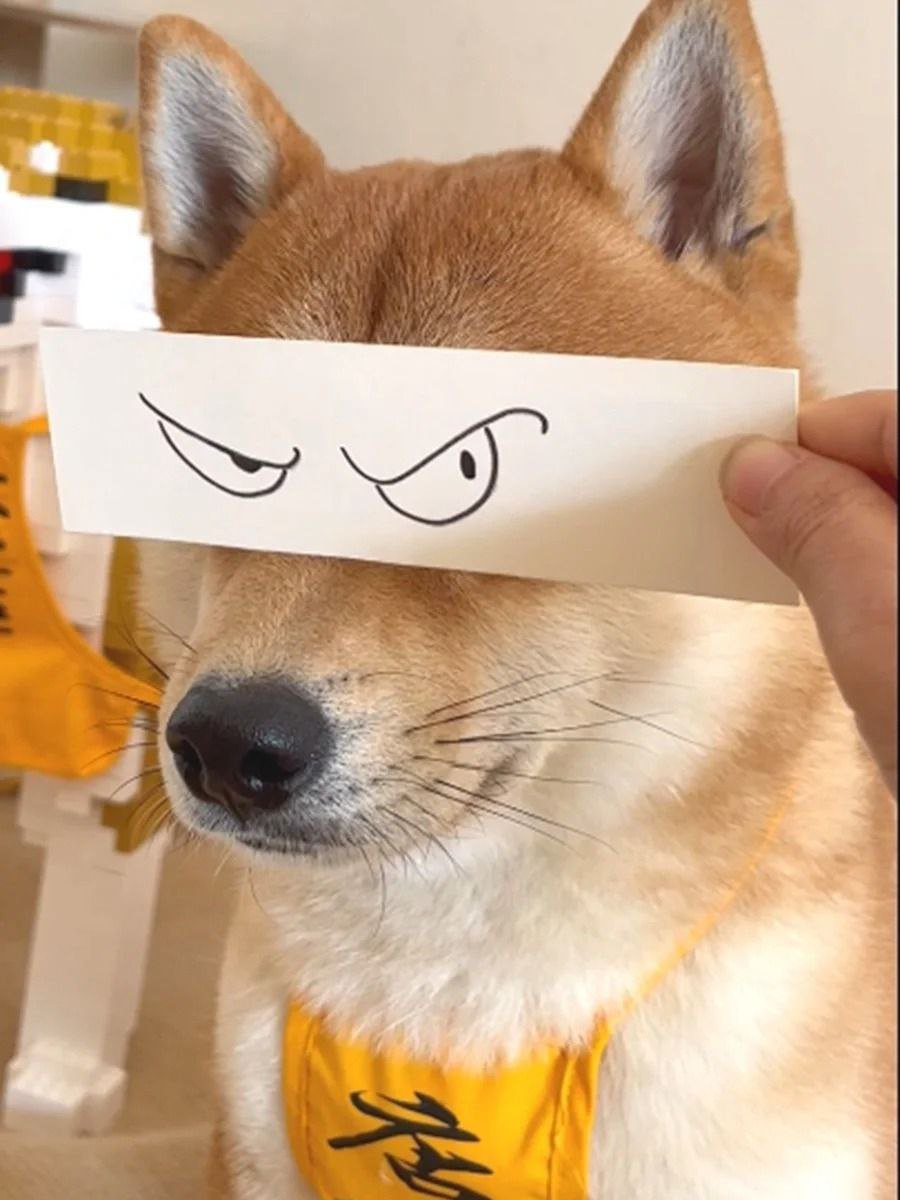 _summer__wx__'s tweet photo. Very thoughtful pictures 🤣🤣🤣🤣🤣 https://t.co/VgOby1MVlX