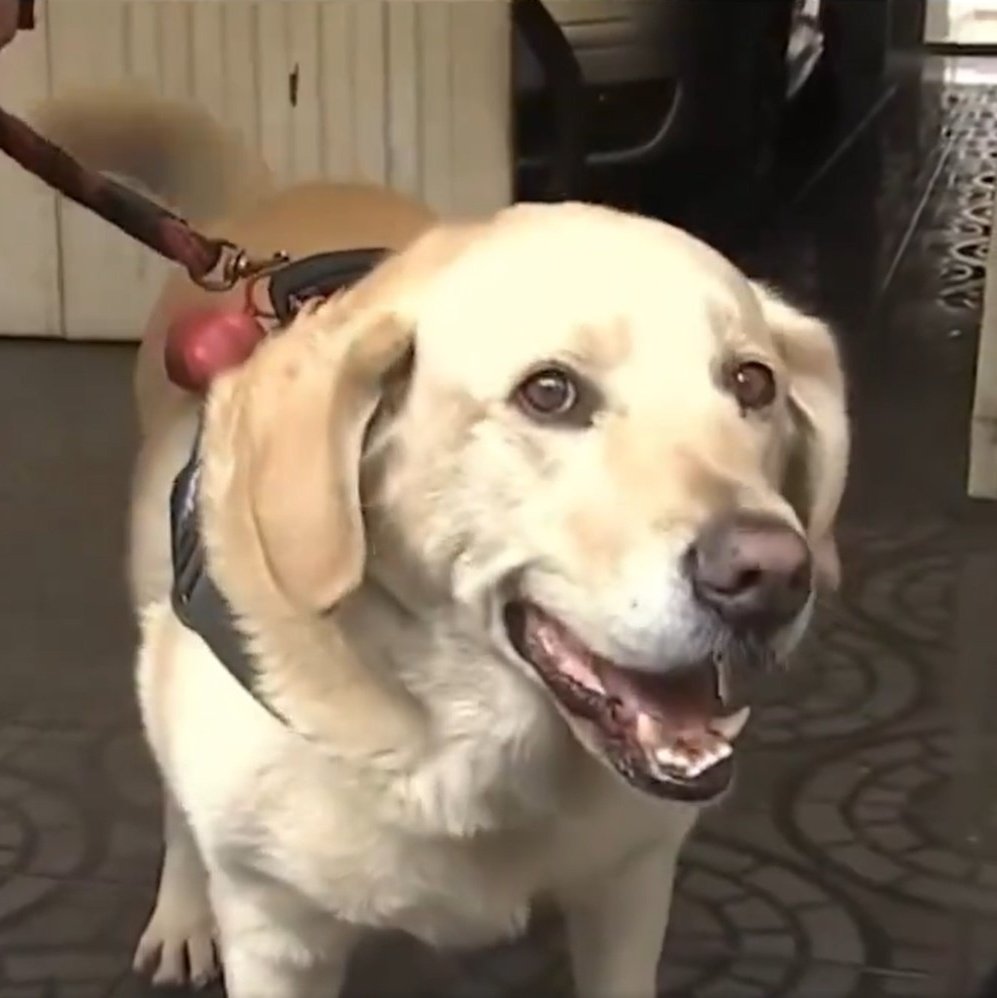 ColombiaOscura's tweet image. ¿Quién ha hecho más por Bogotá?

Dante 🔁
Pedante ❤️