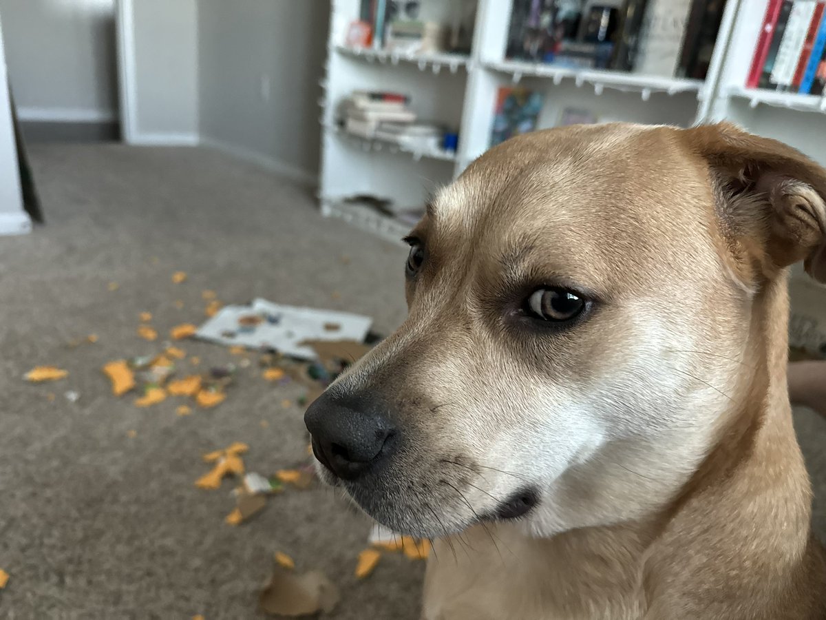 cortney9861's tweet photo. This is every day with her. https://t.co/LE2BbLvIqZ