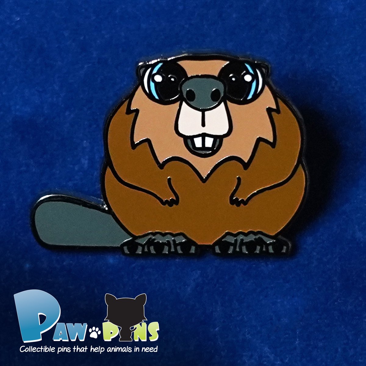 Pawpinspins's tweet photo. Our latest pin, Bucky the Beaver, is now available on our Etsy shop https://t.co/zDyI6tACjd
#pawpinspins #newpin #beaver #beavers #pin #pins #pinsforsale #enamelpin #enamelpins #enamelpinsforsale #lapelpin #lapelpins #pinspinspins #animalpins #animallover #cutepins #cutepin https://t.co/C1TSxcq8aa