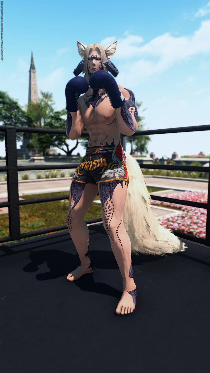 Ranmaru_XIV (@Ranmaru_XIV) / Posts / X