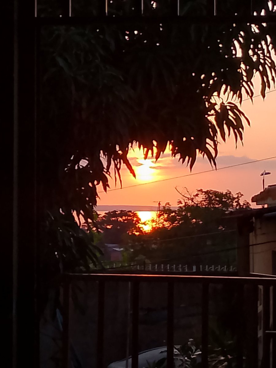 MeteoZuliaReal's tweet photo. Así Amaneció en #Maracaibo
#06Jun2024
#SunSet #sunrise #Sun #Clouds #sunriselover #SunsetLovers #cloudslovers #Storm #StormHours #Thephotohour https://t.co/RDvTIdDCIC