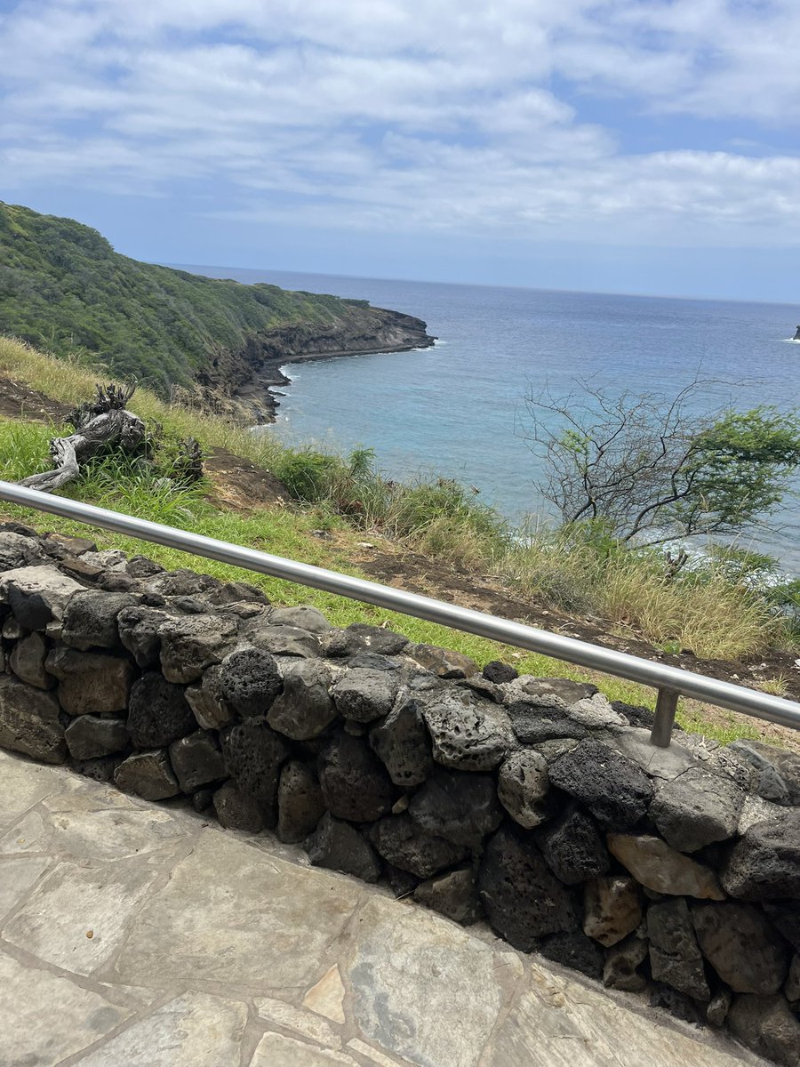 OSUFINKE's tweet photo. Not sure which was better, snorkeling in a crater or seeing the turtles! https://t.co/ExMUUrBcZ0