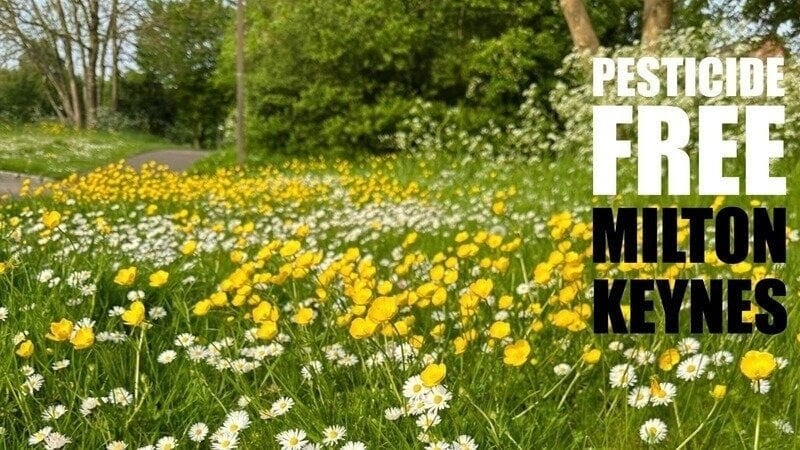 PlantingUp's tweet image. Sign the “Pesticide Free Milton Keynes” Petition dlvr.it/T7xS18