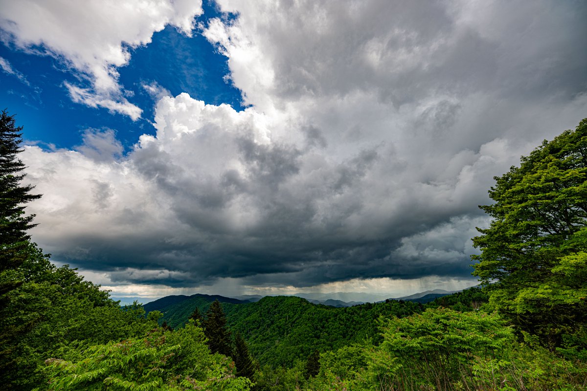 jmrutl01's tweet image. Just made it back from the Great Smoky Mountains. Already missing the scenery. 

#nikon #smokies #newfoundgap #rain #stormhour