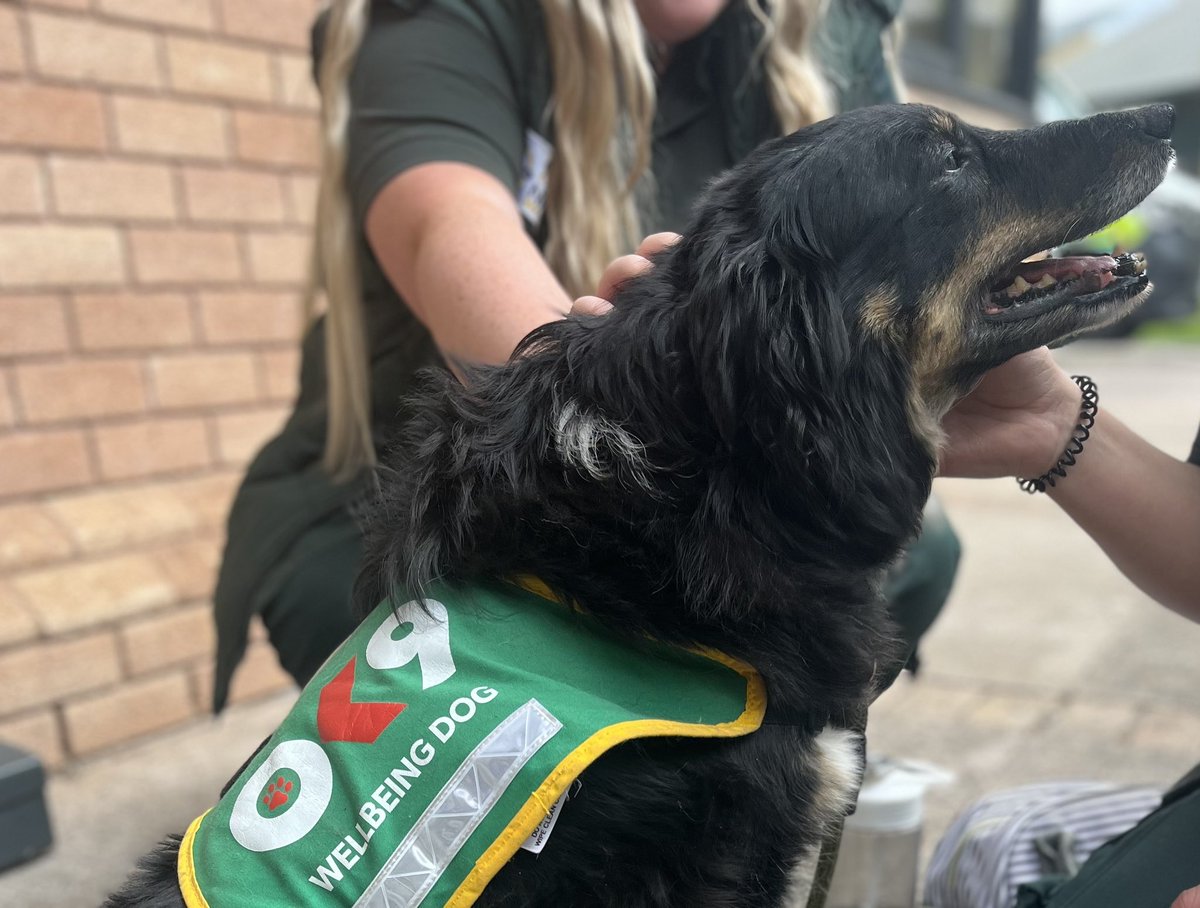 Yesterday Dill visited the Renal Hub at Beacon House (thanks for the dog treats guys 🥰), as well as Ambulance Care &amp; EMS crews, &amp; corporate team members.  
She provided a ‘paws’ for  many new friends; even providing a fluffy cwtch for someone after a difficult phone call 🐾 💞.