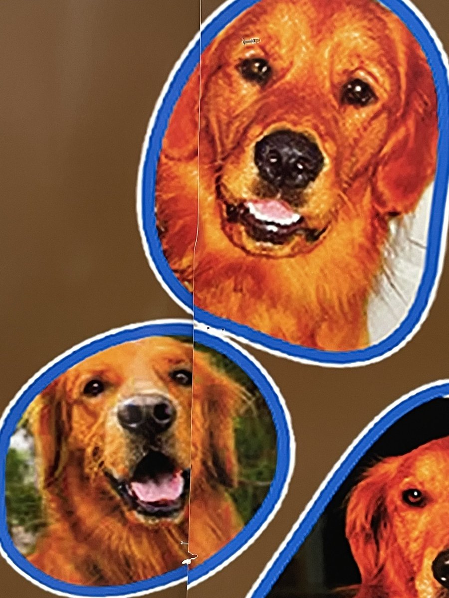 identityload1ng's tweet photo. Good boy thread https://t.co/72rV2LLIwU