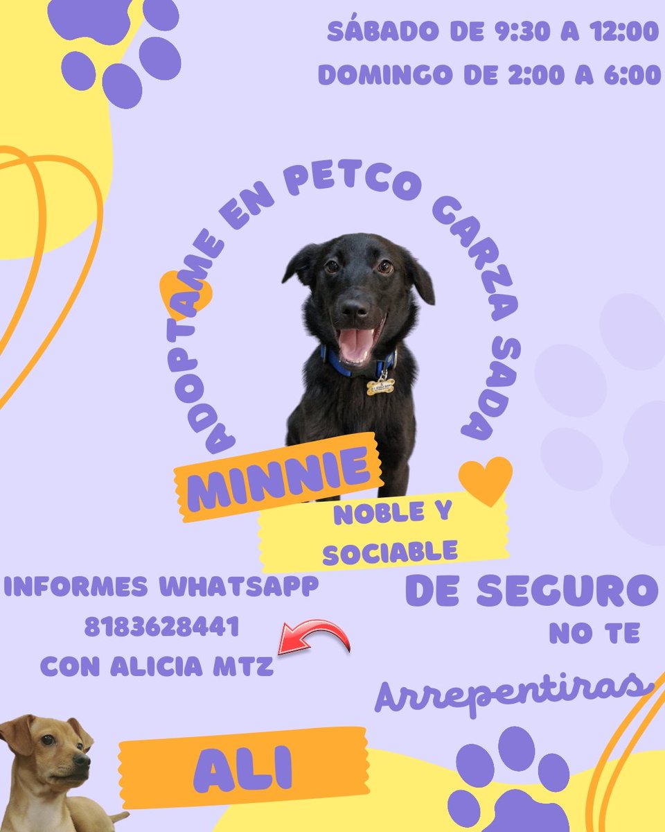 Ayúdanos a ayudar 
Por favor compartan para que llegue a mucha gente y una de ellas sea la persona que ande buscando un perrito en adopción 
Petco Garza Sada 
<a href="/AtentosMTYSur/">Atentos Mty Sur ¡vecinos en acción!</a> <a href="/AVISOSMTY/">AVISOSMTY</a> <a href="/aztecacomunidad/">#ComunidadAzteca</a> <a href="/buscandoajunior/">Buscando a Junior</a> <a href="/ComunidadMTY/">Comunidad Monterrey</a> @DistritoTec <a href="/PetcoMexico/">Petco México</a> #primeroadopta
