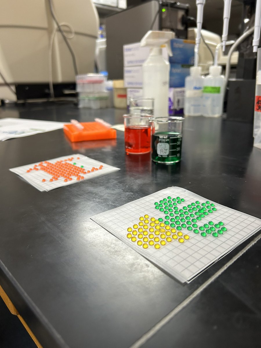 rachaelguenter's tweet photo. Teaching one of my summer students how to pipette thru art! 🎨 🧪 @UABSurgery @OncologyUab @UABHeersink https://t.co/POCQM5Wj0P