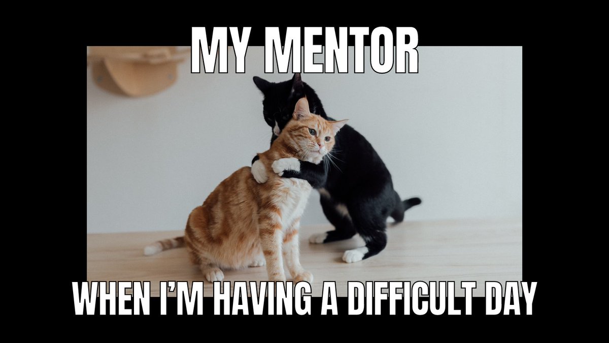 Everyone could use an amazing mentor in their life. Learn how to match with a mentor or become a mentor: iamals.org/peer-support/