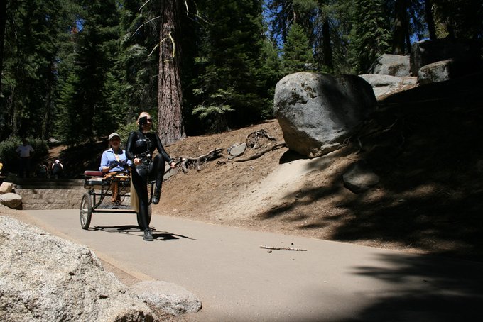 Pony Play in Sequoia National Park https://t.co/JaUQlODgGF