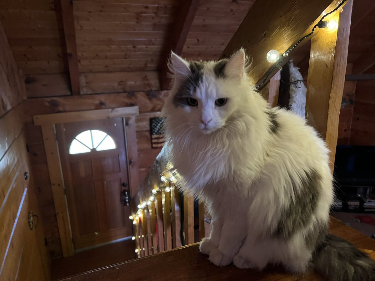 Sami Olive (elle/iel) tweet media