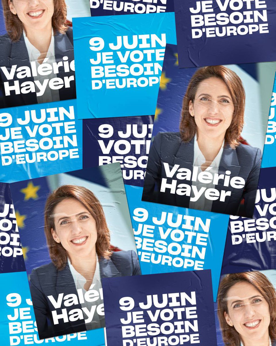 RenaissanceT37's tweet photo. #JeVoteBesoindEurope https://t.co/WBWYaeT30r