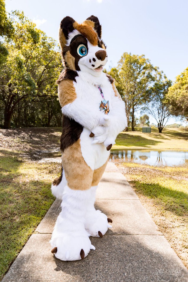 PrusDoggo's tweet photo. Its that time off week again, here's a throwback to when it was sunny!
Happy  #FursuitFriday

📸 @coltofox 
🪡 @LupeSuits https://t.co/vFN7qug47Q