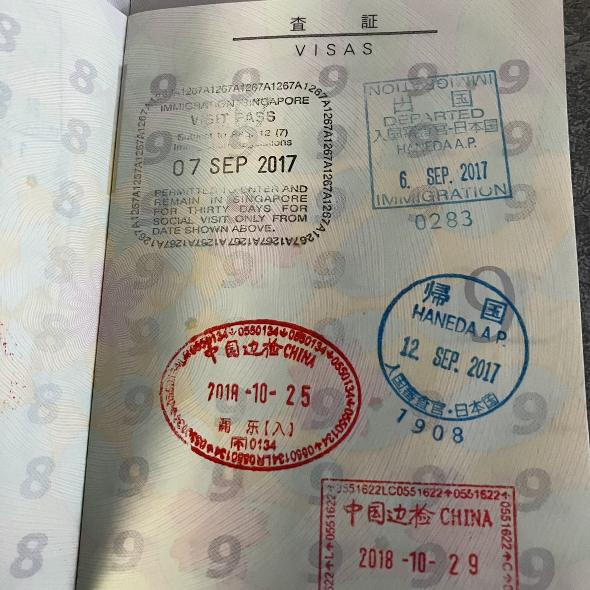 パスポートを更新 査証ページがオシャレなニューデザインになっている♪ 