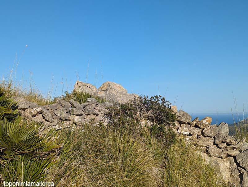mescan1's tweet photo. Quan Jaume I conquistà Mallorca (1229) milers de musulmans es refugiaren a la Serra i a les muntanyes d'Artà. S'enfilaren pels penya-segats i construiren parets i barraques als cims, tot esperant una ajuda que mai no arribà. 
📸 N'Agullonat (Artà-Capdepera) amb Menorca al fons. https://t.co/TsRK5mhKGI