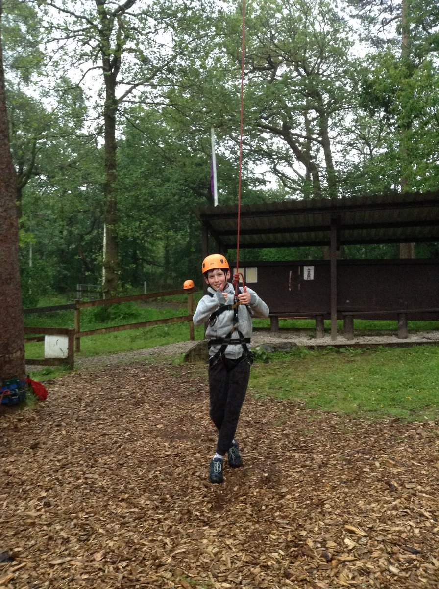 The Whartons Primary tweet media