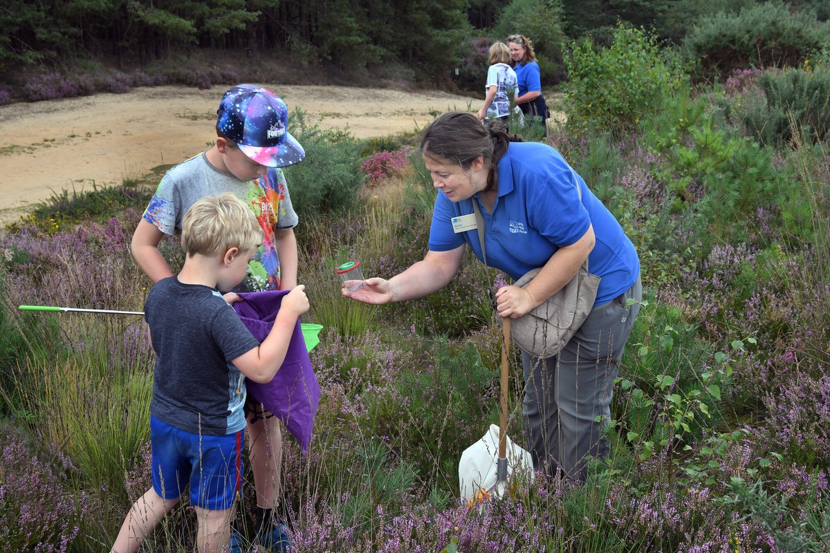 sdnpa's tweet image. Looking for something FREE this weekend?

Join us at Hogmoor Inclosure for &apos;Secrets of the Heath&apos; - our annual celebration of the history and wildlife of lowland heaths.

No booking required.

Find out more 👉 southdowns.gov.uk/secrets-of-the…

#SouthDowns #Hampshire #HelpTheHeaths