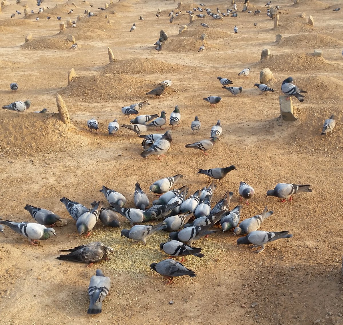 Muhacirlerden Osman b. Maz'ûn'la başladı. Ensardan ise Es'ad b. Zürâre ile devam etti yolculuk...