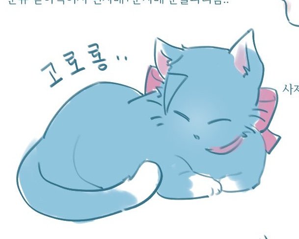 꼬질아깽이                        의젓똑똑청소년냥
