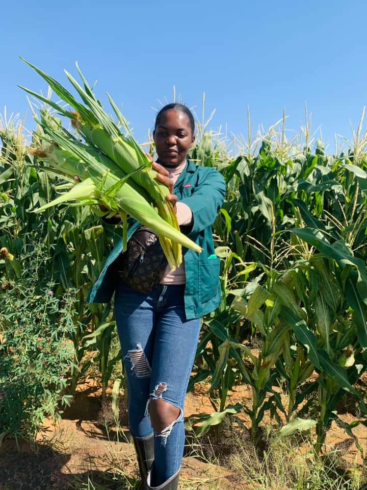 Striving towards food security and self-sufficiency! Support a farmer today! Etunda and surrounding areas contact Aina - The Farmer at 0815809758 for your nutritional horticultural produce! #Localislekker