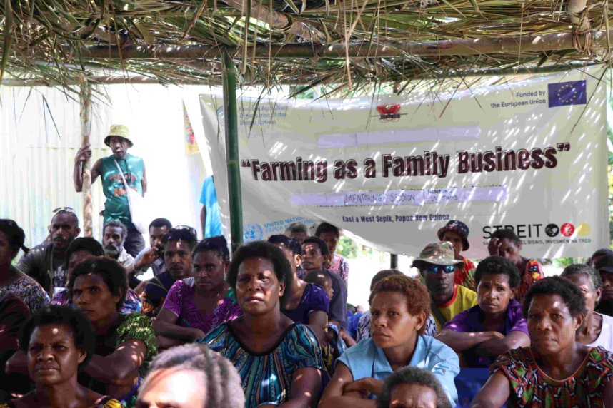 STREITpng's tweet photo. "Farming as a Family Business" is empowering farming families & promoting gender equality across Sepik region of Papua New Guinea! The latest workshop reached 178 participants from the "Hombuku Financial Solution 2025" group in Yangoru. #GenderEquality #SustainableFarming #Sepik https://t.co/j0IOVZowkI