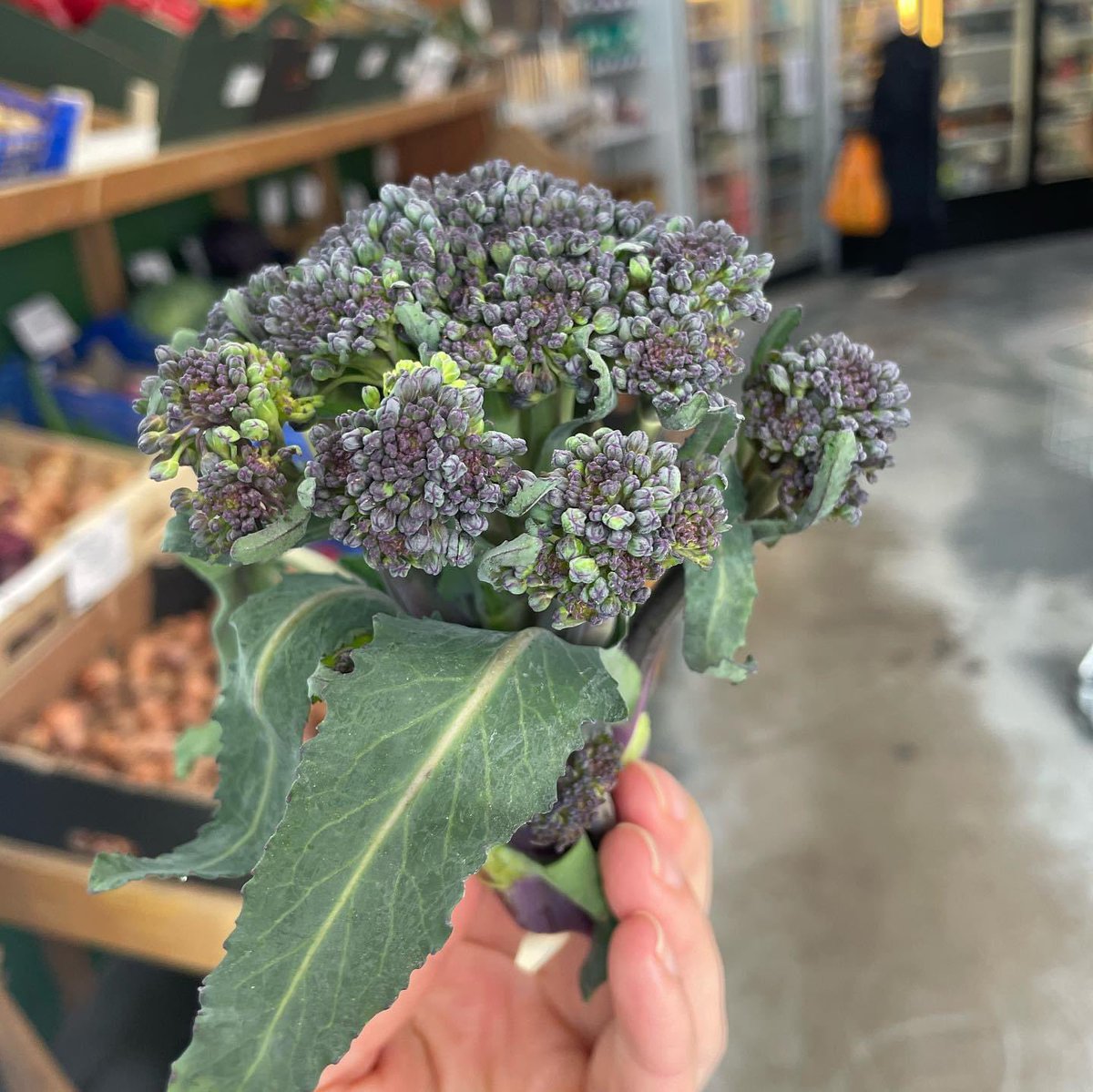 Tis’ the season to Upgrade ⬆️ your Veg Game How about some delicious #Organic Asparagus, Baby artichokes &amp; Purple sprouting broccoli to get you started 🤩 yum! <a href="/OrganicNorth/">Organic North</a> 
#Euro2024 #vegan #communitycoop #veggie #vegetarian #cooperative #prestwich #northmanchester #refillshop