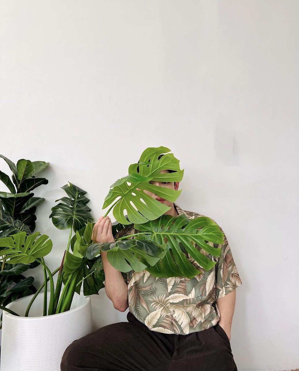 hourlyntt's tweet photo. peek a boo 🫣 #Newwiee https://t.co/740O1wGPop