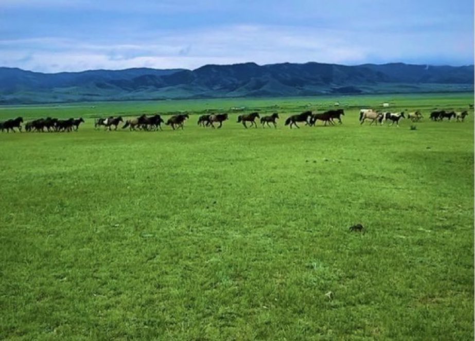 Өдрийн мэнд ээ