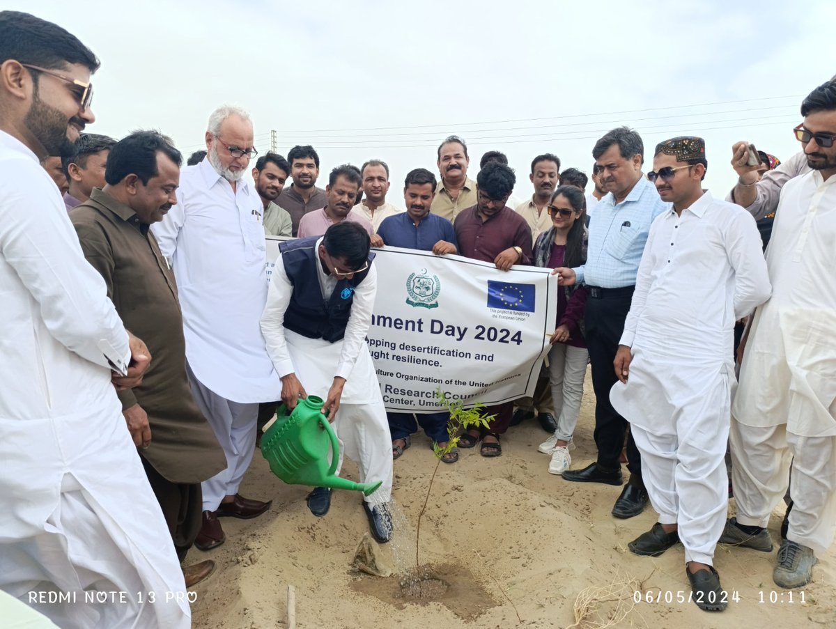 FAOPakistan's tweet photo. #WorldEnvironmentDay‌202 reverberated across Sindh's diverse districts! 🌍💚 From awareness sessions on climate change to tree planting drives in villages, communities embraced the call to action for a greener, healthier planet. 🌳 Let's keep nurturing our environment, together! https://t.co/Ju4tZ2mtXS