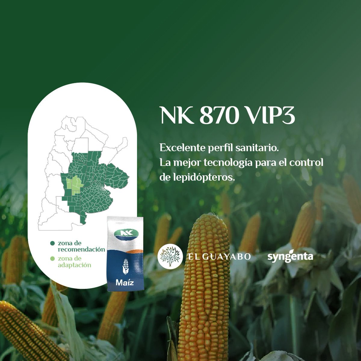 ElGuayaboSrl's tweet photo. #Maíz 🌽 @NKSemillas
✔ NK 870 VIP3 🆕️
Lo tenemos 🙋🏻♂️🙋🏻♀️
📲 Pedí tu #BolsaNK en
#ElGuayabo 🌳
#PreCampañaMaíz 🌽
#NKRinde 🔝 #NK870Vip3
#ImpulsandoLaInnovación 🚀
#Producción #Campo #Agro https://t.co/DKt2YCQbzR