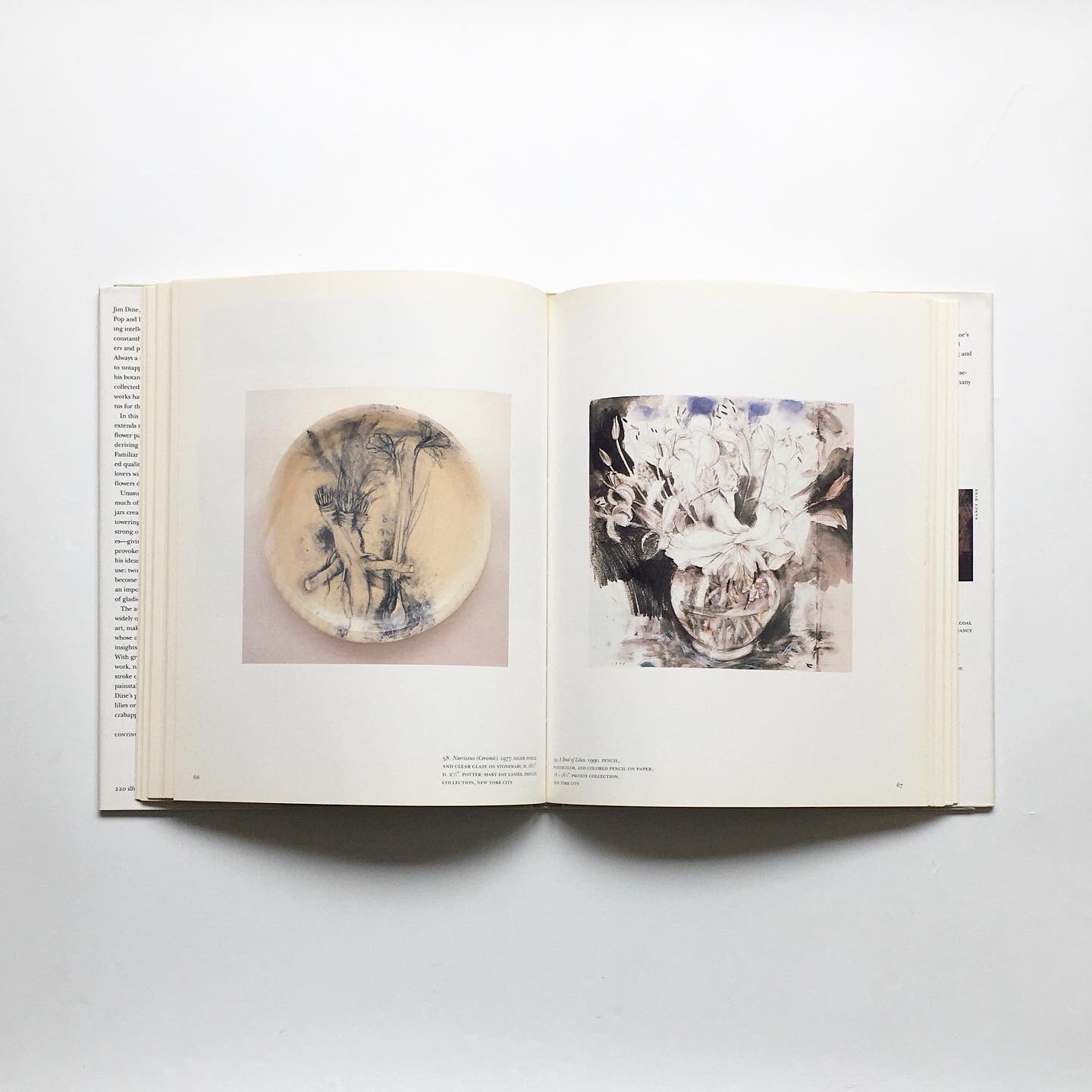洋書　Jim Dine Some Drawings 図録　英語　ジム・ダイン Jim Dine: The Photographs, SO FAR | ジム・ダイン - 古本買取