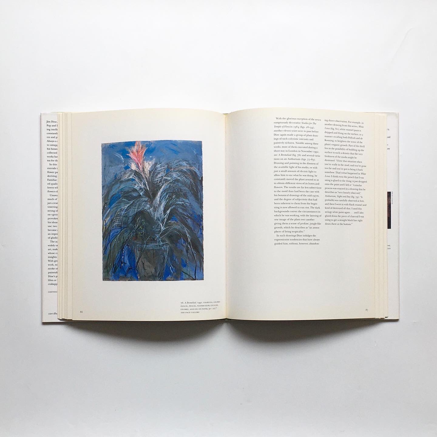 JIM DINE ジム・ダイン /作品集 ポップアート 洋書 Jim Dine: The Photographs, SO FAR | ジム・ダイン - 古本買取