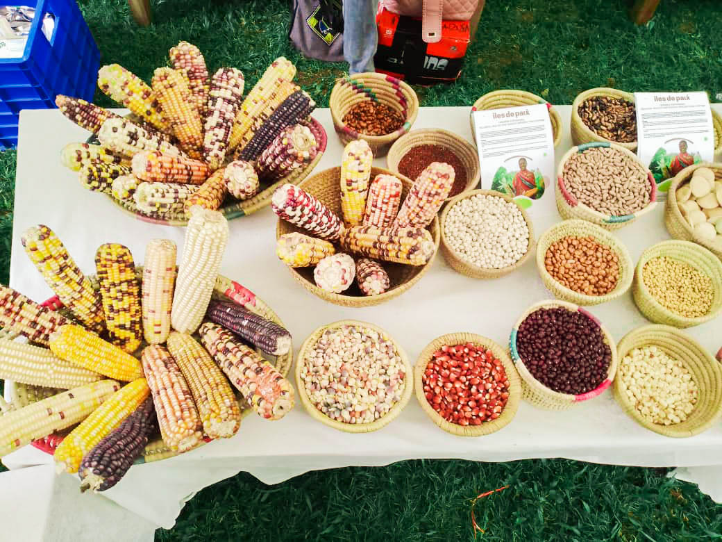 mviwaarusha's tweet image. sustainable food system and enhance food security. We invite you to join us in taking decisive action for a healthier planet today.
#Agroecologyrightnow
#FoodSystemChange
#jointhemovement @iledepaix