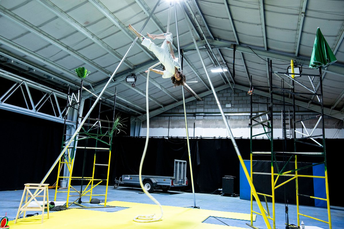 The Dot Collective tweet media