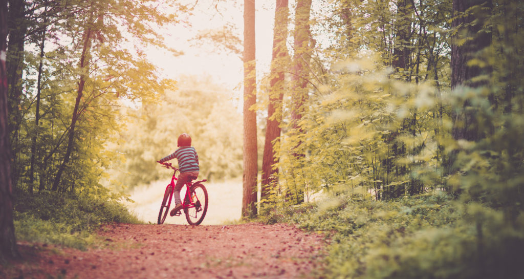 WesleyJBaker's tweet photo. If youโre craving for a bit more adrenaline, head to southern Estonia where youโll discover undulating hills, lakes, and forests.
Click for more https://t.co/Tt9KhjfE8l
#Forest #Bog #adventure #trips #vacation #holidays #trail #vacations #purevacations #Estonia #travel #Park https://t.co/8PGZQq21hm