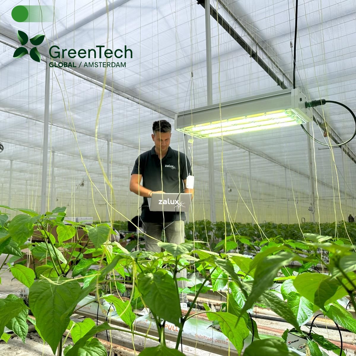 Become a #lighting expert at #Greentech Amsterdam 🌱!

Discover how #LEDs revolutionize horticulture with energy efficiency, customizable spectra, and smart controls.
Visit booth 01.750!

#GreenTech24 #GreenTechExhibition