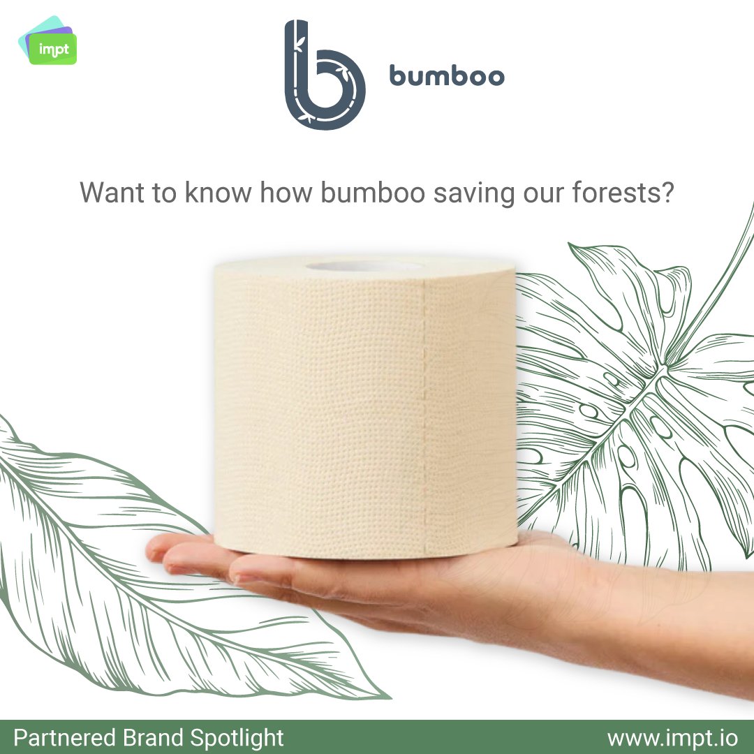 IMPT_token's tweet photo. 🌿 Exciting News! IMPT Partners with Bumboo! 🌱

Curious about how Bumboo is saving forests? Shop with them and discover how your contributions are shaping our future. 🌍

Shop Now: https://t.co/xNGmdF6cPP 
#IMPT #Bumboo #Sustainability #ShopSmart #GreenPlanet #GreenShopping https://t.co/8HRJstLxzA