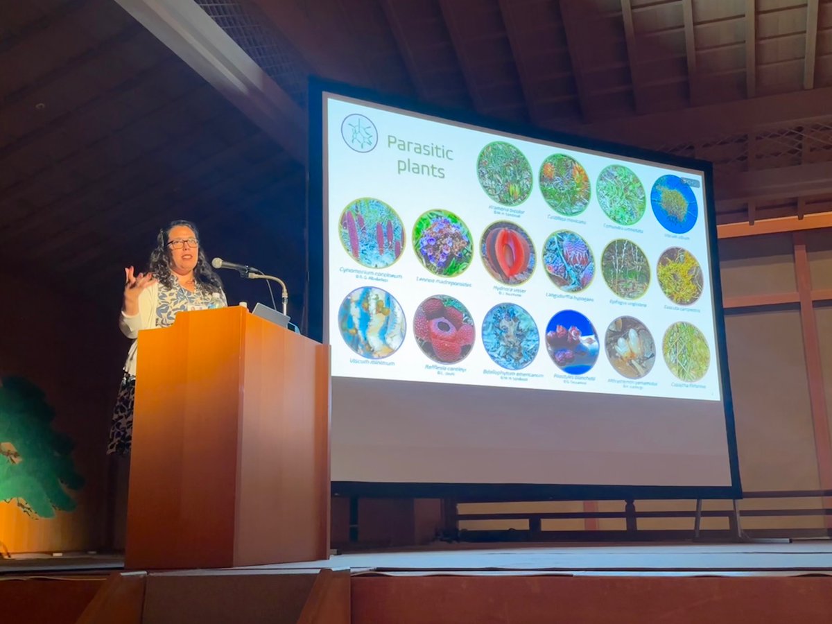 Ollie Spacey (@biolliegist) on Twitter photo Parasitic plants live at the intersection between two important ecological groups: keystone species and parasites! Thanks to <a href="/l_teixeiracosta/">Luiza Teixeira-Costa</a> for showing how we can investigate how such crucial organisms will respond in a changing world 🌍🌿 Parasitic plants live at the intersection between two important ecological groups: keystone species and parasites! Thanks to <a href="/l_teixeiracosta/">Luiza Teixeira-Costa</a> for showing how we can investigate how such crucial organisms will respond in a changing world 🌍🌿