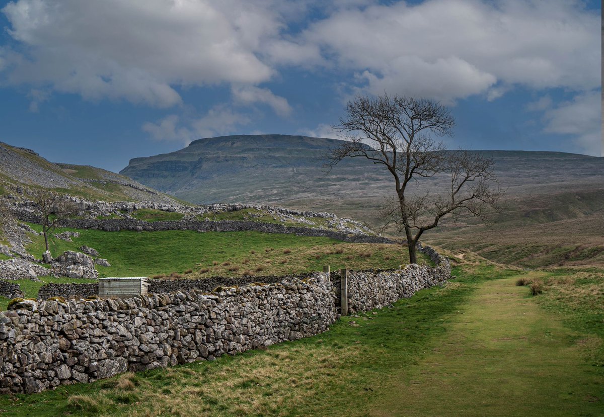 ChevinPhotos's tweet photo. This is my favourite route up to the summit of Ingleborough

#FlashbackFriday #Yorkshire3Peaks  #Ingleborough
[A008] https://t.co/S5yuEnh1pL