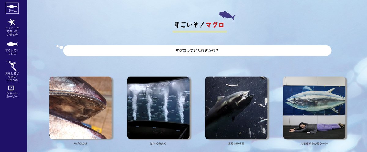 マグロについても詳しく紹介しています。 印刷してつなげると
