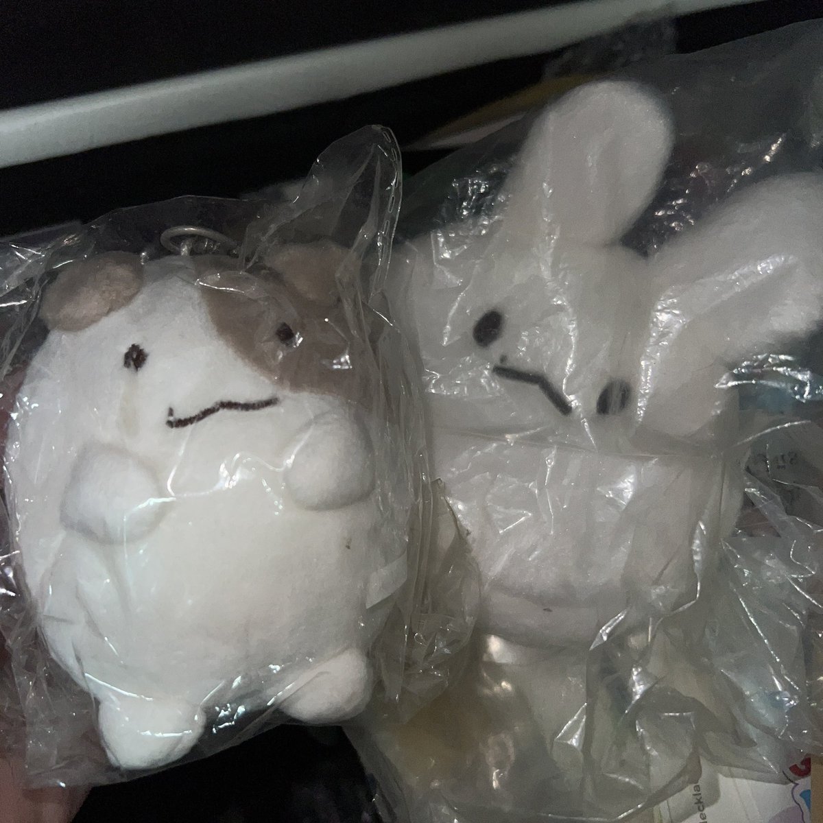 tinybibubie's tweet photo. 🍥 ตุ๊กตา แบคฮยอน แบคคุ
🍒 แบคคุไม่เคยแกะ 
🫐 เหมา 3 / 200 รวมส่ง ไม่ขายแยก
,
#ตลาดนัดexo ตามหา แบคฮยอน https://t.co/Tonqjmf2oQ