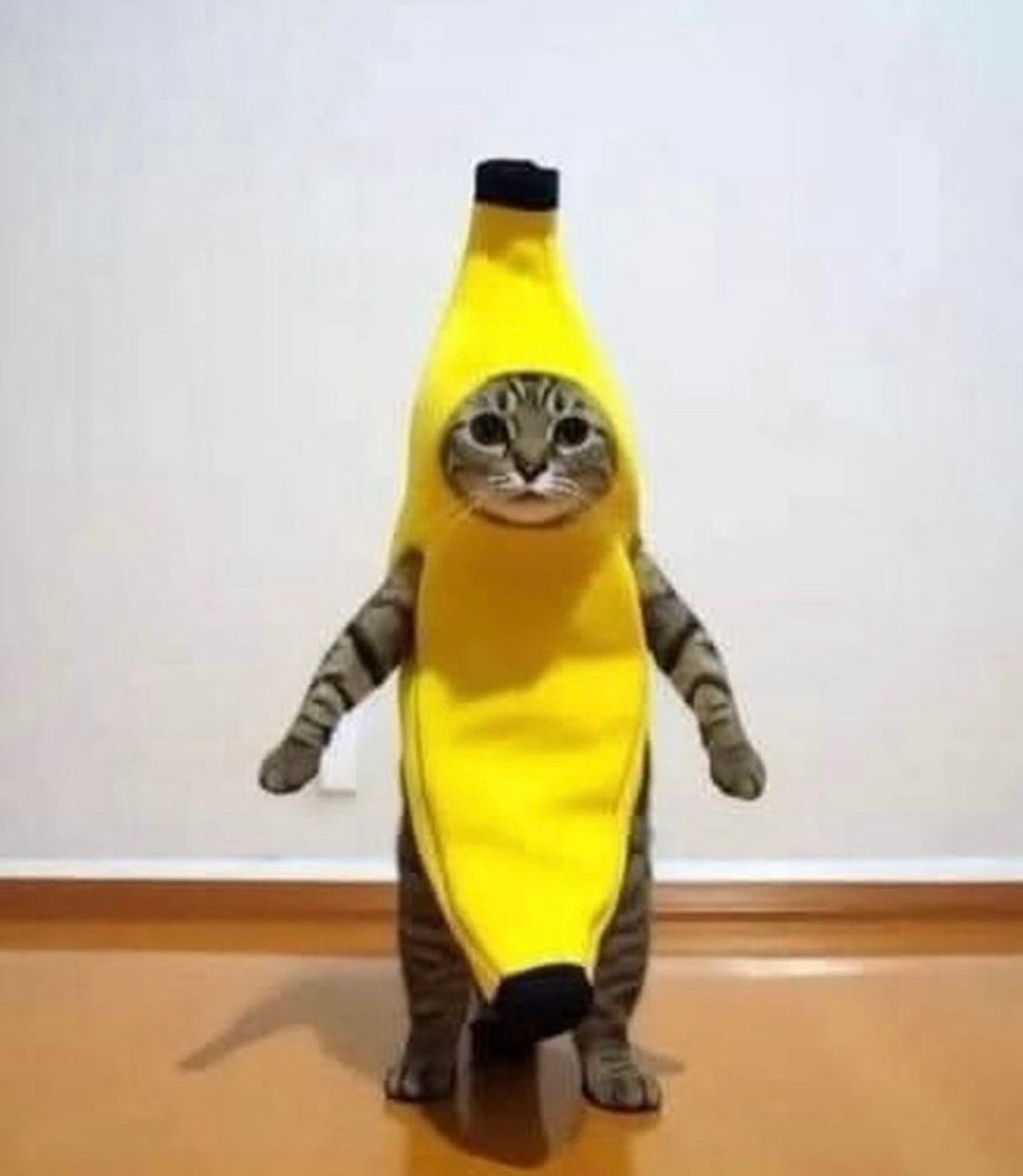 Critterbites's tweet photo. Mood https://t.co/nlwV6VBduQ