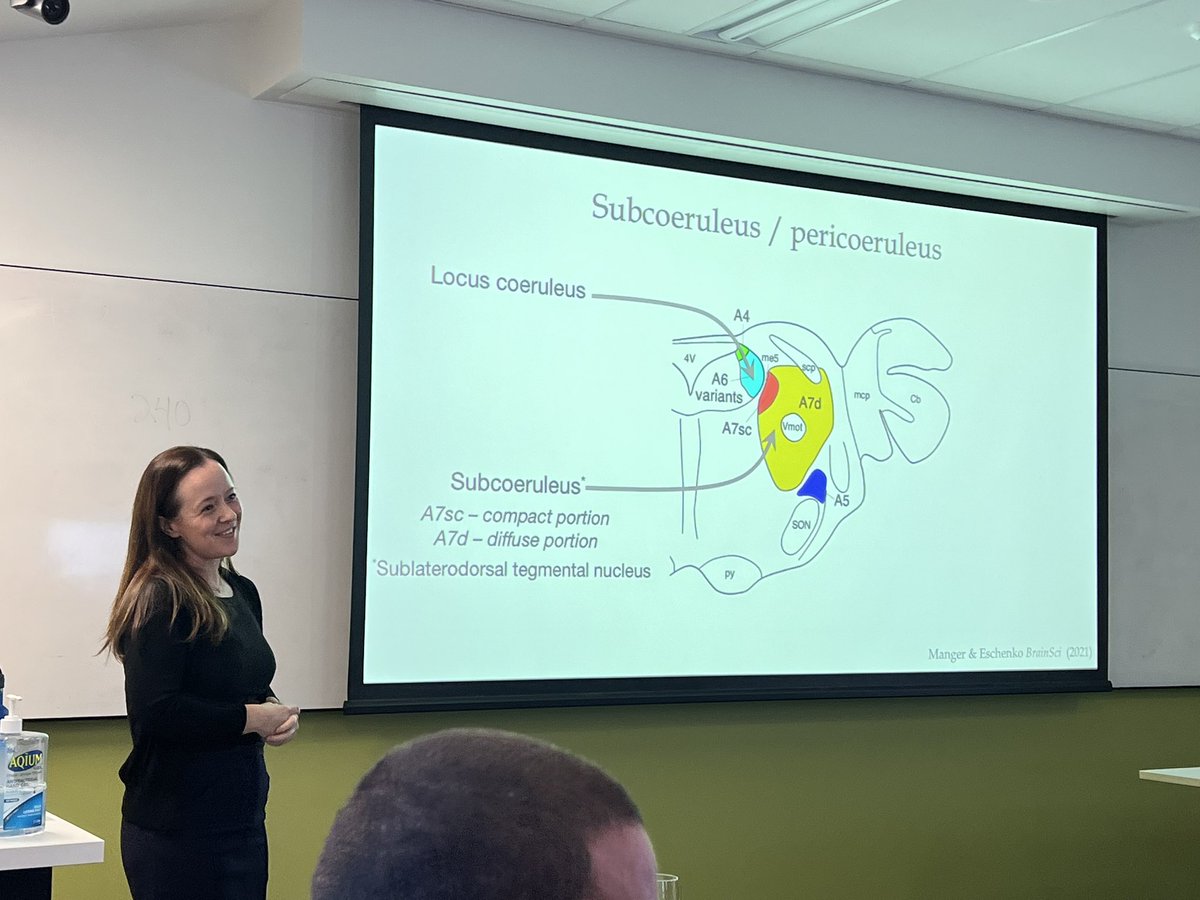 Sharon Naismith, AM, FASSA (@prof_naismith) on Twitter photo Jam packed <a href="/SIESTASynergy/">SIESTA Research Program</a> workshop today with world leading locus coeruleus experts <a href="/HeidiJacobsLab/">Heidi Jacobs Lab</a> <a href="/C__OCallaghan/">Claire O'Callaghan</a> <a href="/jmacshine/">Mac Shine</a>! Our challenge is to now integrate this with sleep and memory systems <a href="/DrMVanEgroo/">Maxime Van Egroo</a> <a href="/GabWainstein/">Gabriel Wainstein</a> Jam packed <a href="/SIESTASynergy/">SIESTA Research Program</a> workshop today with world leading locus coeruleus experts <a href="/HeidiJacobsLab/">Heidi Jacobs Lab</a> <a href="/C__OCallaghan/">Claire O'Callaghan</a> <a href="/jmacshine/">Mac Shine</a>! Our challenge is to now integrate this with sleep and memory systems <a href="/DrMVanEgroo/">Maxime Van Egroo</a> <a href="/GabWainstein/">Gabriel Wainstein</a>