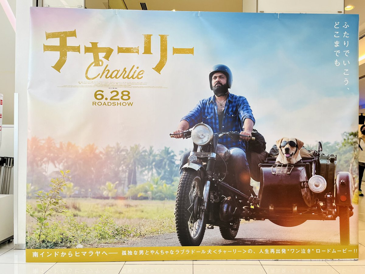チャーリー バナー 【公式通販】