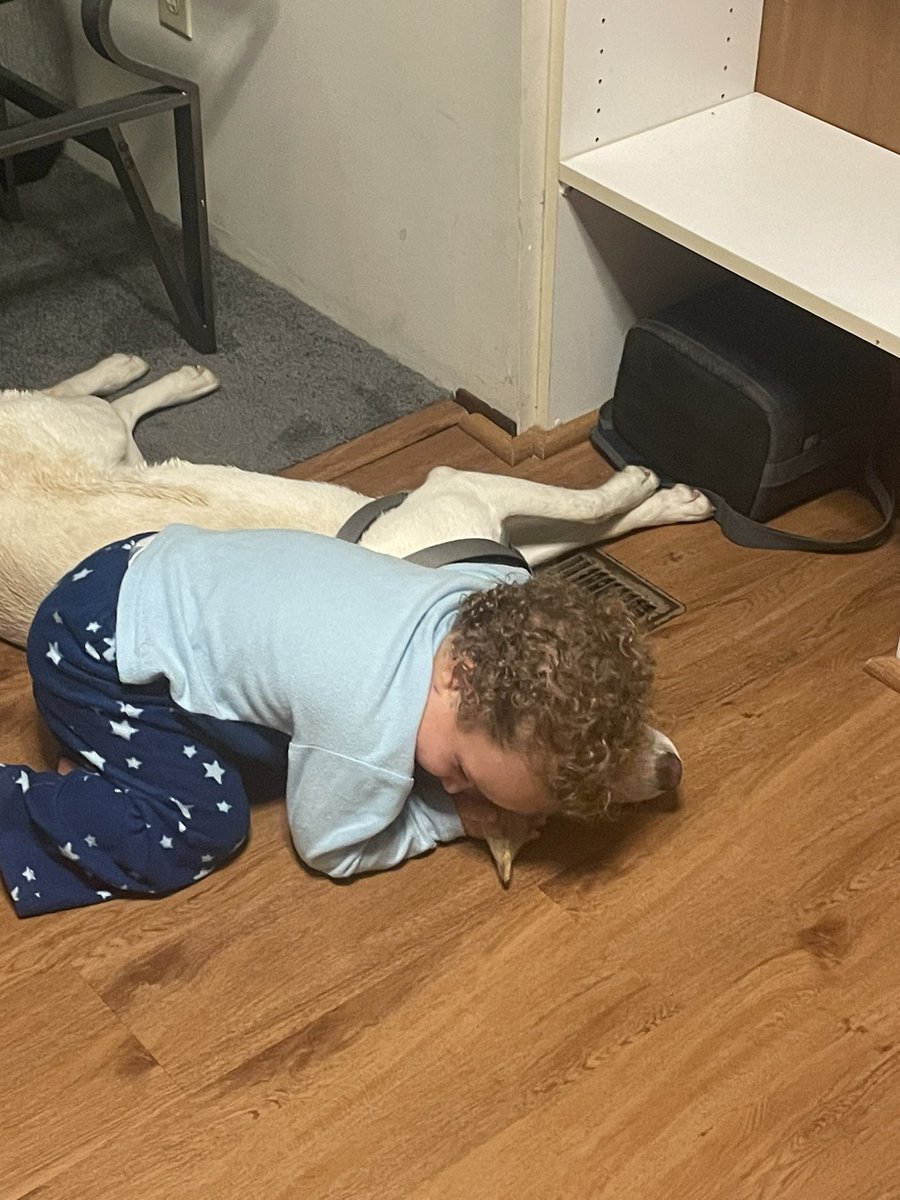 Queen_mkjay's tweet photo. Like??? She’s more his dog than mine or Devin’s. Listens to him when he tells her to sit or come to him. And ALWAYS cuddling and loving on him🥹 https://t.co/rV1GdaTwEa