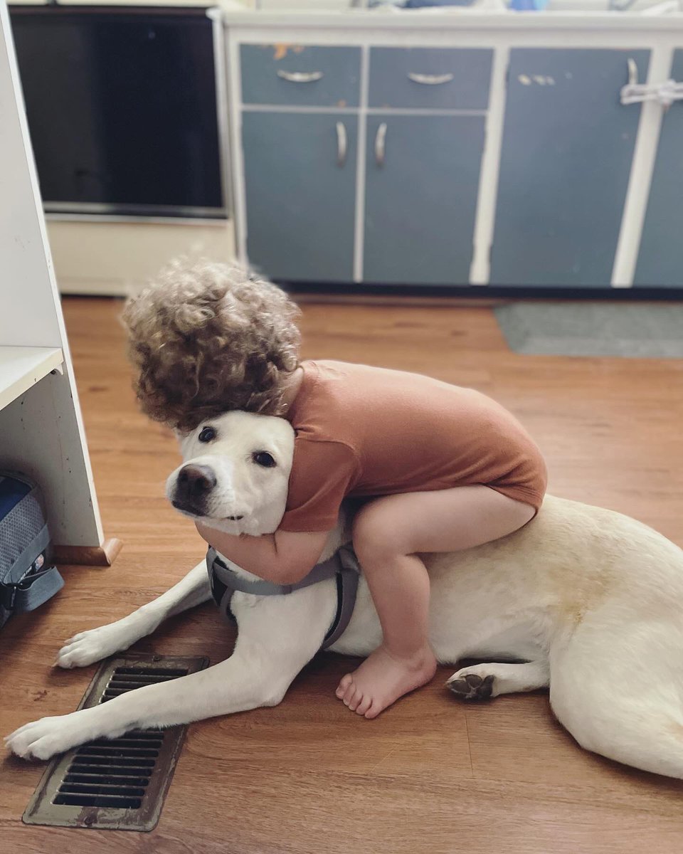 Queen_mkjay's tweet photo. Like??? She’s more his dog than mine or Devin’s. Listens to him when he tells her to sit or come to him. And ALWAYS cuddling and loving on him🥹 https://t.co/rV1GdaTwEa